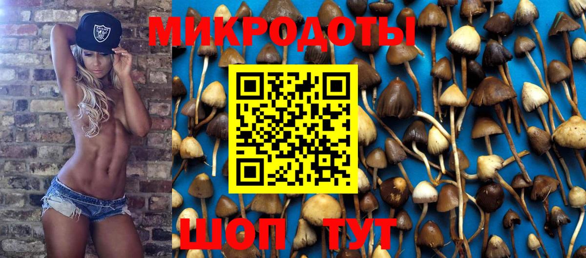 Псилоцибиновые грибы мухоморы Черняховск